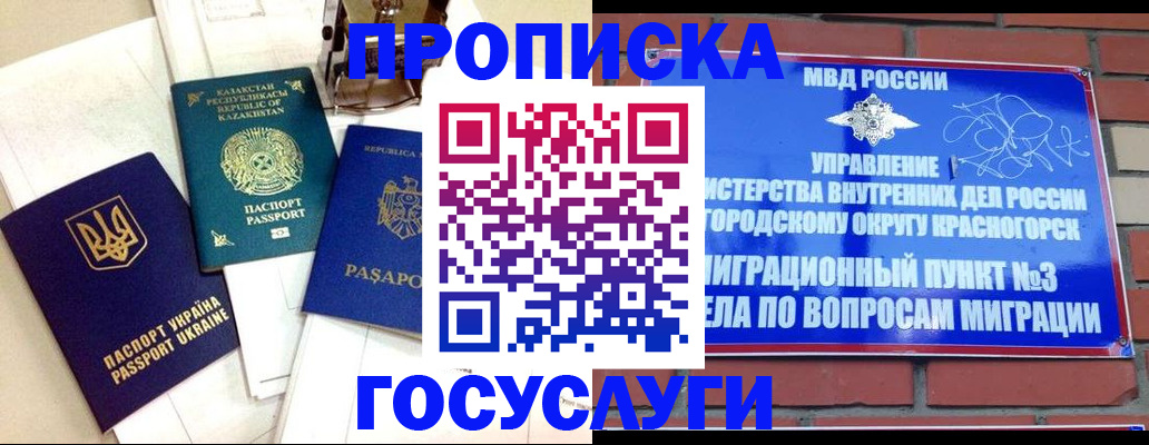 купить прописку в Калмыкии